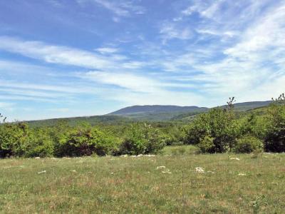 Прикрепленное изображение: DSCF8474.jpg